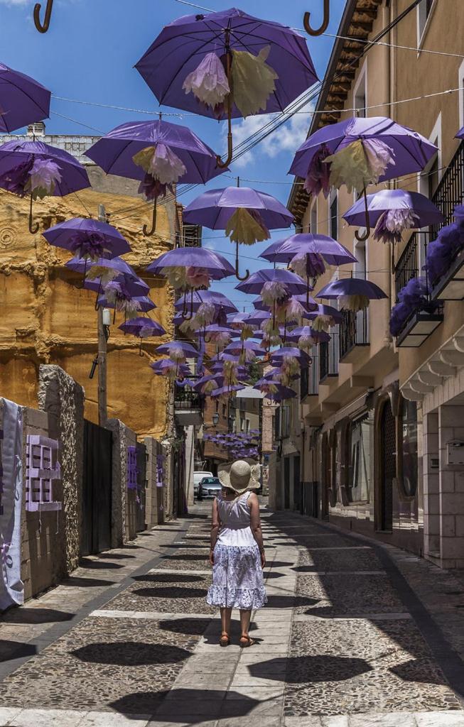 Apartamentos Tierra Lavanda ブリウエガ エクステリア 写真